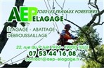 AEP Elagage France